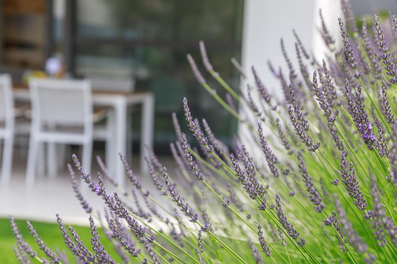 Apartments Vengust Malinska Εξωτερικό φωτογραφία